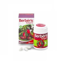 Berberis Vulgaris 300mg 30 Gelules